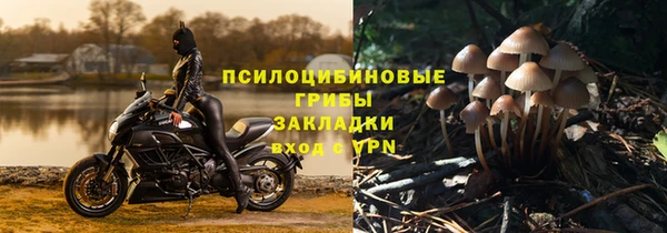 СК Балахна