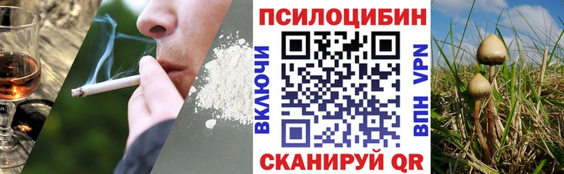 Галлюциногенные грибы MAGIC MUSHROOMS Реж